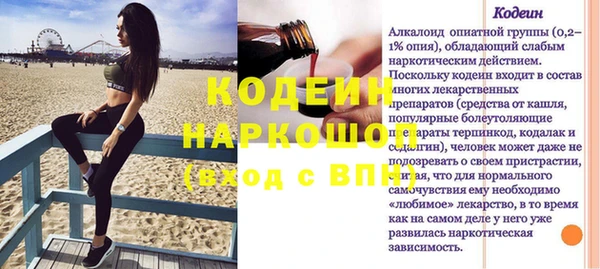 гашик Новозыбков