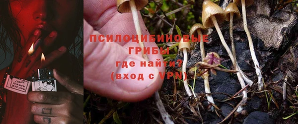 стаф Алексеевка